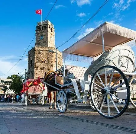 Large * Antalya